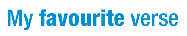 MFV survey title.jpg